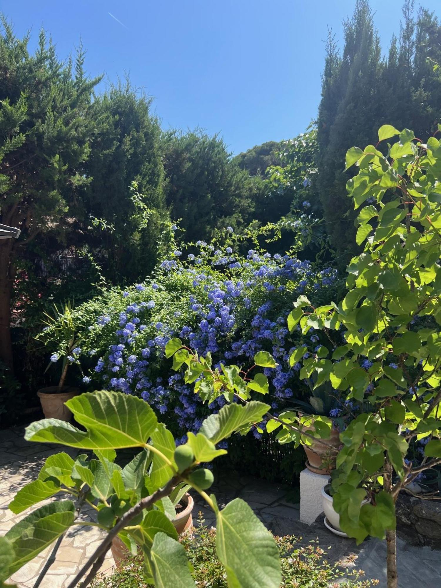 Superbe Appartement Avec Terrasse Jardin Et Parking Prive Saint-Tropez Zewnętrze zdjęcie